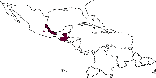 map of Psorthaspis guatemalae     Bradley, 1944